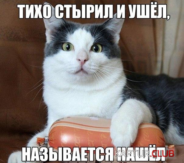 prikol-kartinki21.jpg | Рено Каптур Клуб Россия | Форум KAPTUR.SU