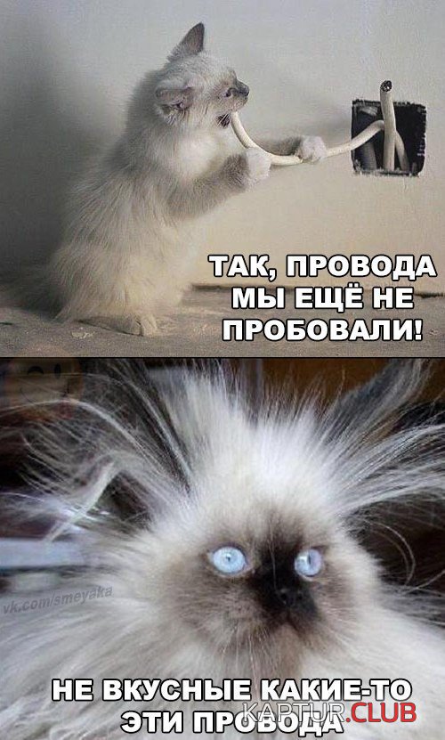 prikol-kartinki5-1.jpg | Рено Каптур Клуб Россия | Форум KAPTUR.SU