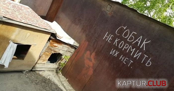 prikolnie_obiyavleniya_01.jpg | Рено Каптур Клуб Россия | Форум KAPTUR.SU