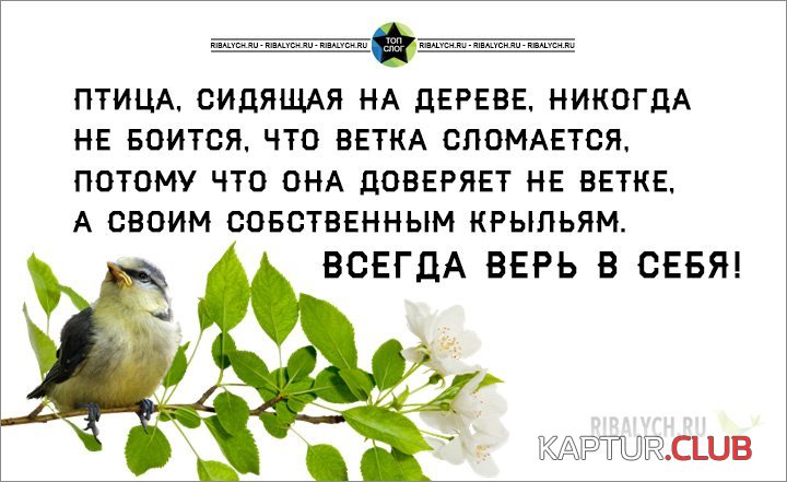 prikolnye-kartinki_008.jpg | Рено Каптур Клуб Россия | Форум KAPTUR.SU