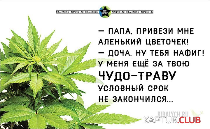 prikolnye-kartinki_052.jpg | Рено Каптур Клуб Россия | Форум KAPTUR.SU