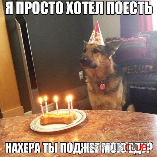 Прикольный-юмор-в-картинках-с-надписями-смотреть-бесплатно-12.jpg | Рено Каптур Клуб Россия | Форум KAPTUR.SU
