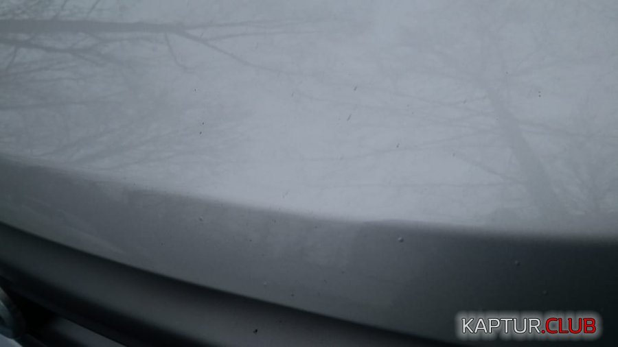 прыщи.jpg | Рено Каптур Клуб Россия | Форум KAPTUR.SU