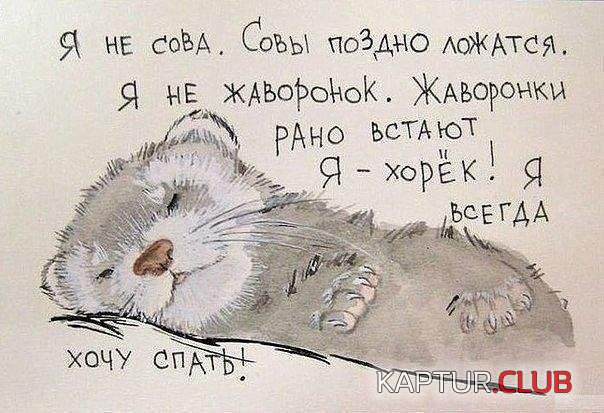 Q4_Rr4DLkyE.jpg | Рено Каптур Клуб Россия | Форум KAPTUR.SU