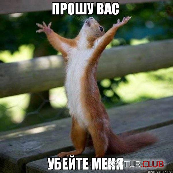 q86txr.jpg.jpg | Рено Каптур Клуб Россия | Форум KAPTUR.SU
