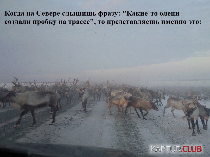QB9w_AKX4-k.jpg | Рено Каптур Клуб Россия | Форум KAPTUR.SU
