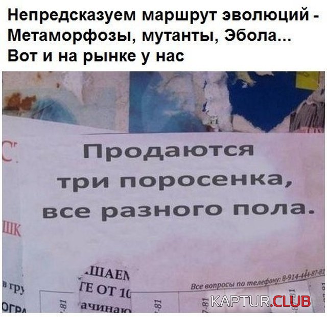 rifmi_17.jpg | Рено Каптур Клуб Россия | Форум KAPTUR.SU