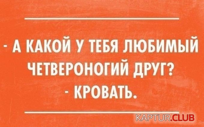 RJUHByDk59A.jpg | Рено Каптур Клуб Россия | Форум KAPTUR.SU