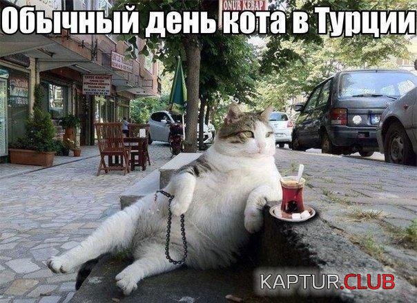 RkIeqaFcNUA.jpg | Рено Каптур Клуб Россия | Форум KAPTUR.SU