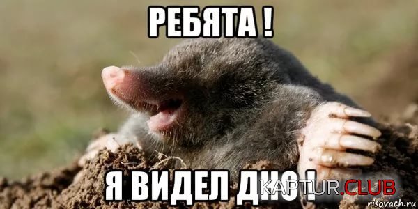 рпи.jpg | Рено Каптур Клуб Россия | Форум KAPTUR.SU