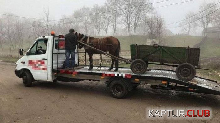 russia_the_motherland_of_wtf_20.jpg | Рено Каптур Клуб Россия | Форум KAPTUR.SU