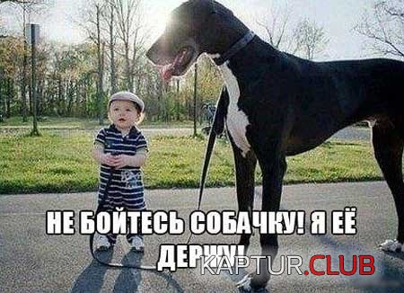 rzhachnye_kartinki_09.jpg | Рено Каптур Клуб Россия | Форум KAPTUR.SU