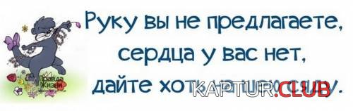 s71577315.jpg | Рено Каптур Клуб Россия | Форум KAPTUR.SU