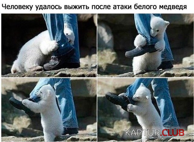 samooborona_02.jpg | Рено Каптур Клуб Россия | Форум KAPTUR.SU