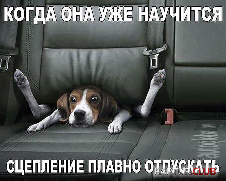 сцеплен.jpg | Рено Каптур Клуб Россия | Форум KAPTUR.SU