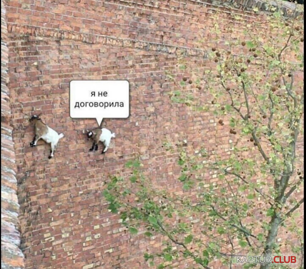 Screenshot_20170517-120003.jpg | Рено Каптур Клуб Россия | Форум KAPTUR.SU