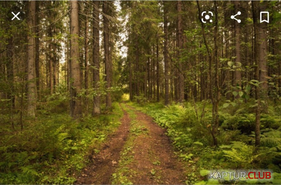 Screenshot_20210128-121815_Google.jpg | Рено Каптур Клуб Россия | Форум KAPTUR.SU