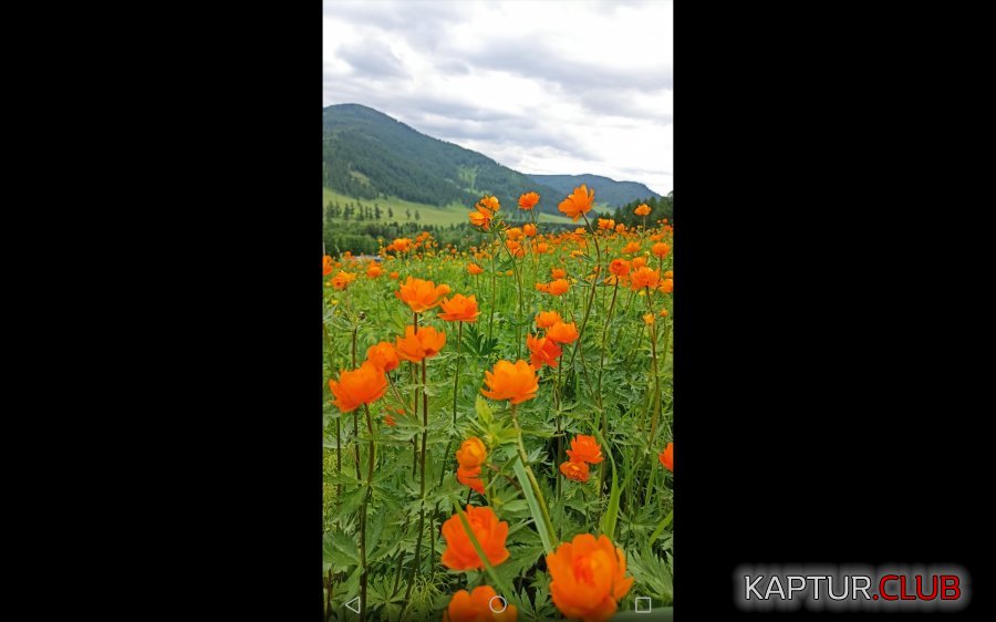 Screenshot_20220629-103057.jpg | Рено Каптур Клуб Россия | Форум KAPTUR.SU