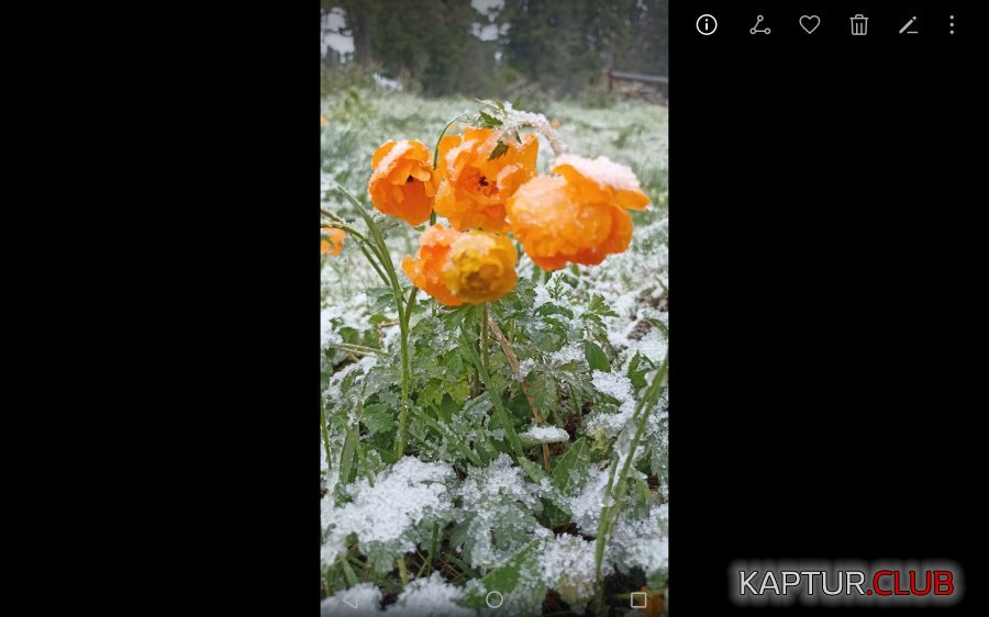 Screenshot_20220629-103335.jpg | Рено Каптур Клуб Россия | Форум KAPTUR.SU