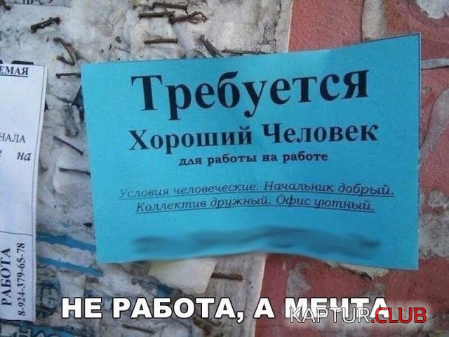 shutki_02.jpg | Рено Каптур Клуб Россия | Форум KAPTUR.SU