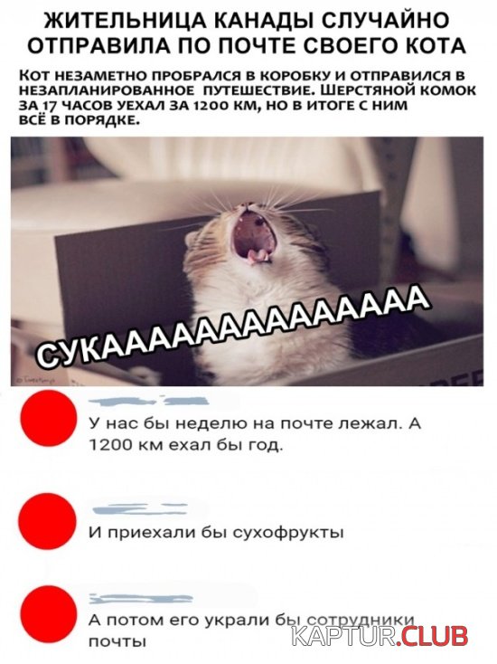 shutki_12.jpg | Рено Каптур Клуб Россия | Форум KAPTUR.SU
