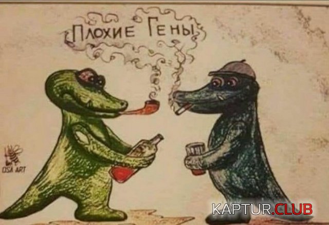 shutki_13.jpg | Рено Каптур Клуб Россия | Форум KAPTUR.SU