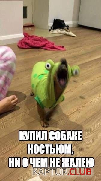 shutki_19.jpg | Рено Каптур Клуб Россия | Форум KAPTUR.SU