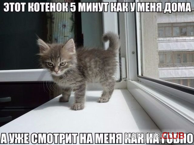 shutki_24.jpg | Рено Каптур Клуб Россия | Форум KAPTUR.SU