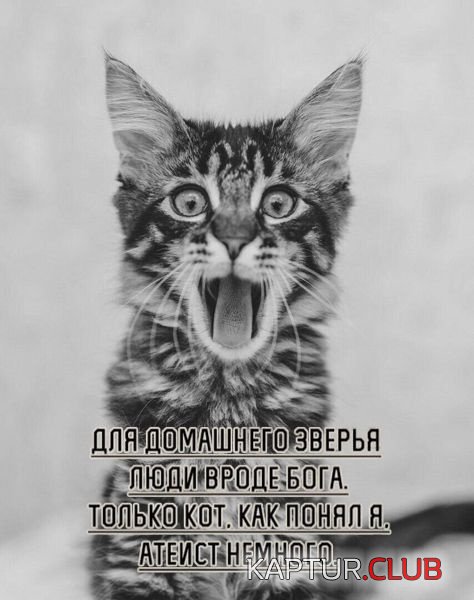 shutki_25.jpg | Рено Каптур Клуб Россия | Форум KAPTUR.SU