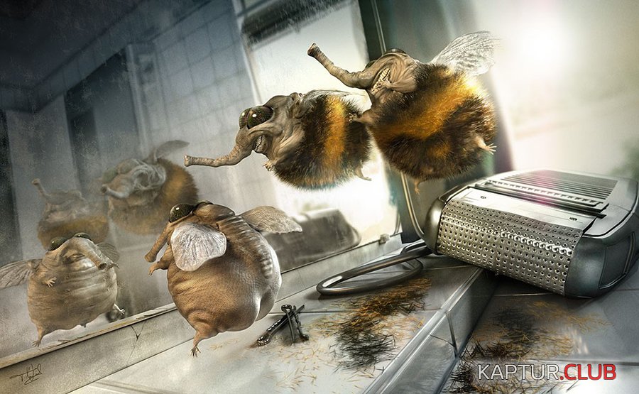 слоны900.jpg | Рено Каптур Клуб Россия | Форум KAPTUR.SU