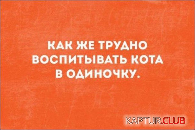 slova_22.jpg | Рено Каптур Клуб Россия | Форум KAPTUR.SU