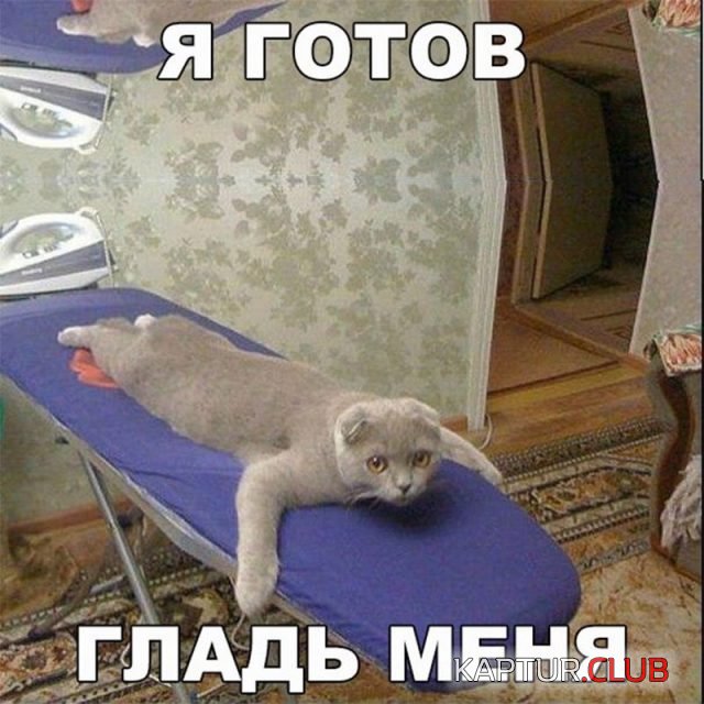 smeshnye-kartinki-s-nadpisjami-27-640x640.jpg | Рено Каптур Клуб Россия | Форум KAPTUR.SU