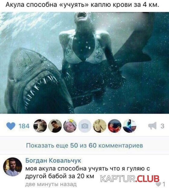 soc_seti_01.jpg | Рено Каптур Клуб Россия | Форум KAPTUR.SU