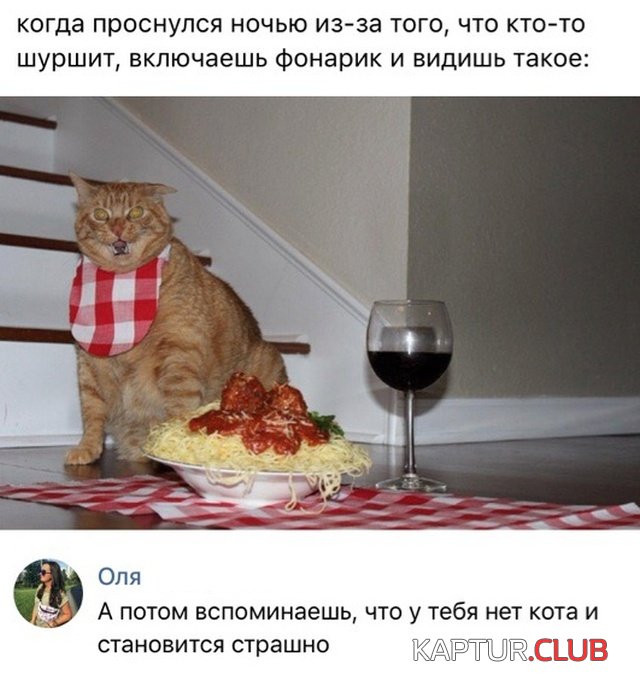 soc_seti_02.jpg | Рено Каптур Клуб Россия | Форум KAPTUR.SU