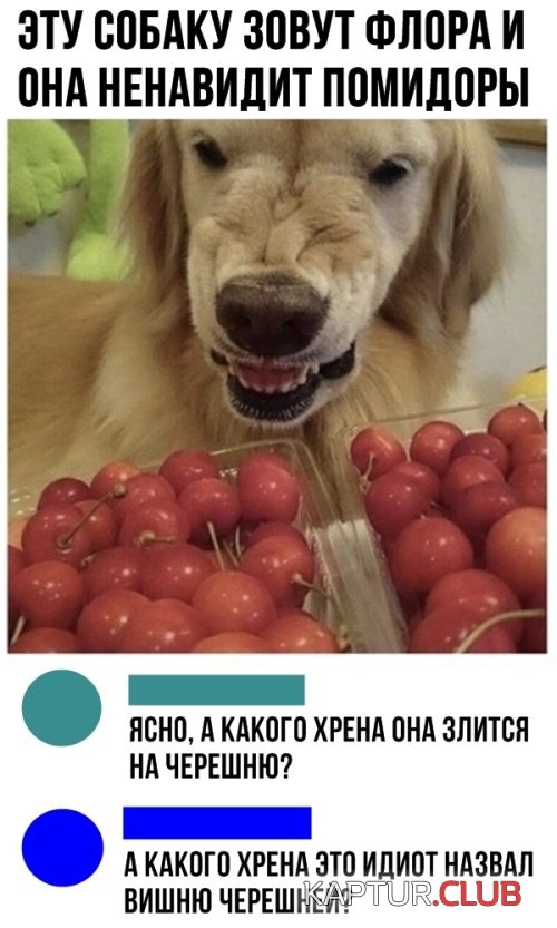soc_seti_04.jpg | Рено Каптур Клуб Россия | Форум KAPTUR.SU