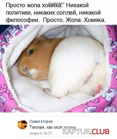 soc_seti_04.jpg | Рено Каптур Клуб Россия | Форум KAPTUR.SU