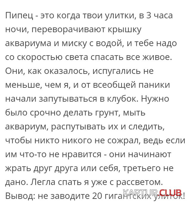 soc_seti_04.jpg | Рено Каптур Клуб Россия | Форум KAPTUR.SU