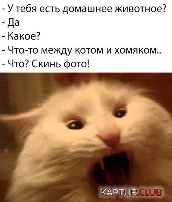 soc_seti_05.jpg | Рено Каптур Клуб Россия | Форум KAPTUR.SU