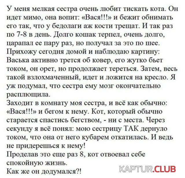 soc_seti_11.jpg | Рено Каптур Клуб Россия | Форум KAPTUR.SU