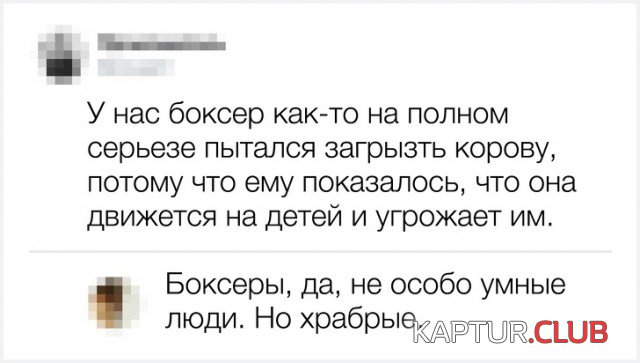 soc_seti_15.jpg | Рено Каптур Клуб Россия | Форум KAPTUR.SU