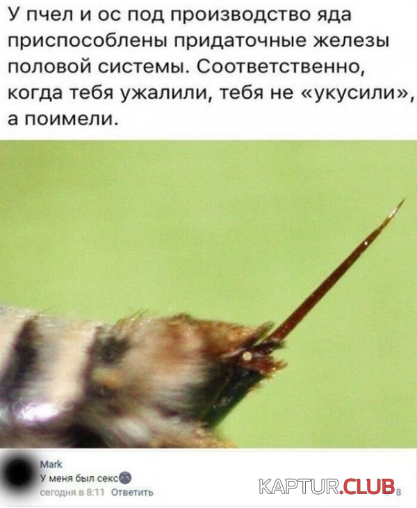 soc_seti_16.jpg | Рено Каптур Клуб Россия | Форум KAPTUR.SU