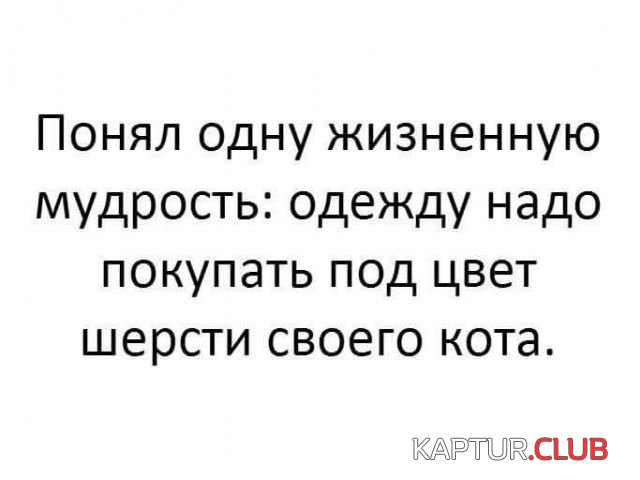 soc_seti_16.jpg | Рено Каптур Клуб Россия | Форум KAPTUR.SU