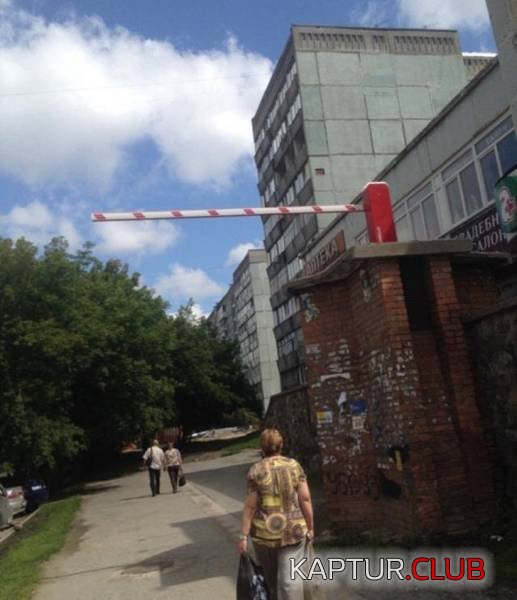 sometimes_stupidity_10.jpg | Рено Каптур Клуб Россия | Форум KAPTUR.SU