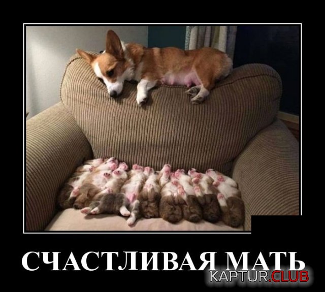 sosedi_01.jpg | Рено Каптур Клуб Россия | Форум KAPTUR.SU