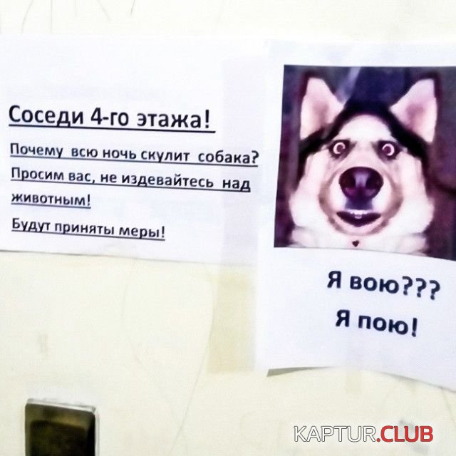 sosedi_04.jpg | Рено Каптур Клуб Россия | Форум KAPTUR.SU
