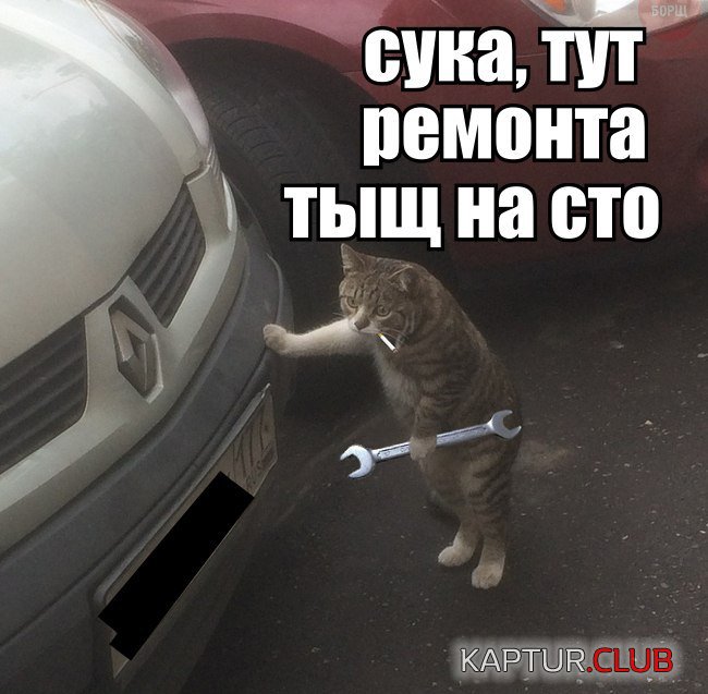 SqoBGtVuWtE.jpg | Рено Каптур Клуб Россия | Форум KAPTUR.SU