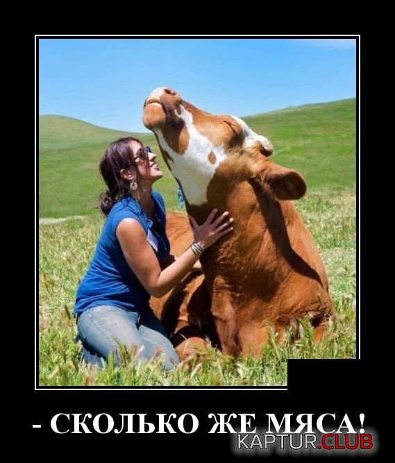 stroitel_01.jpg | Рено Каптур Клуб Россия | Форум KAPTUR.SU