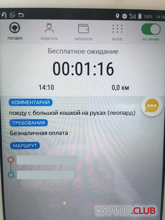 taxi_01.jpg | Рено Каптур Клуб Россия | Форум KAPTUR.SU