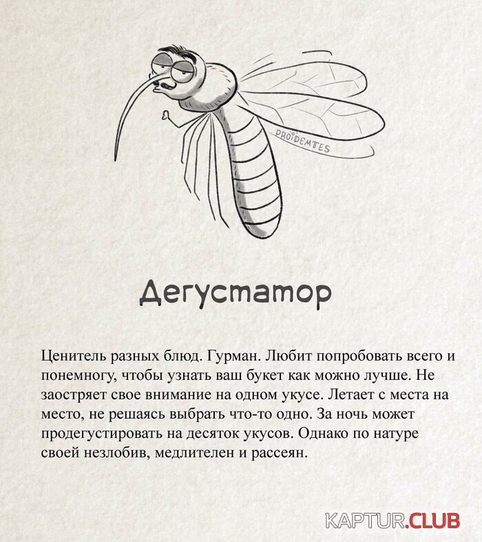 tDhdJVxqg6k.jpg | Рено Каптур Клуб Россия | Форум KAPTUR.SU