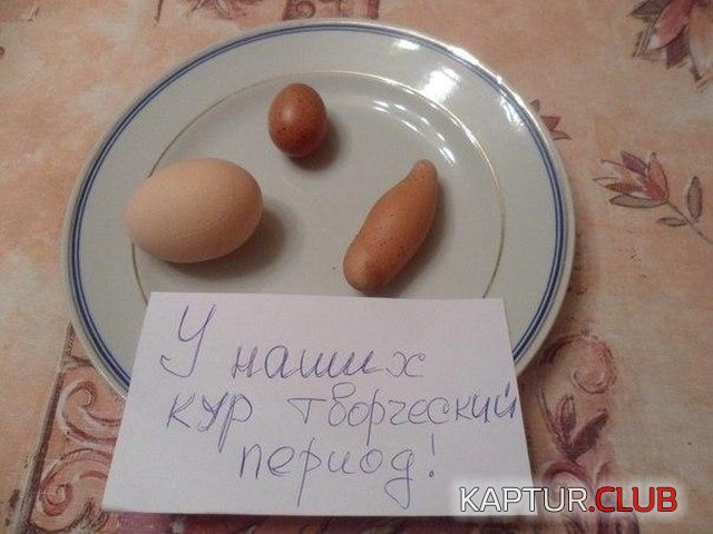 tolko_u_nas_16.jpg | Рено Каптур Клуб Россия | Форум KAPTUR.SU